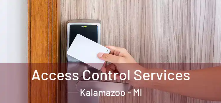  Access Control Services Kalamazoo - MI