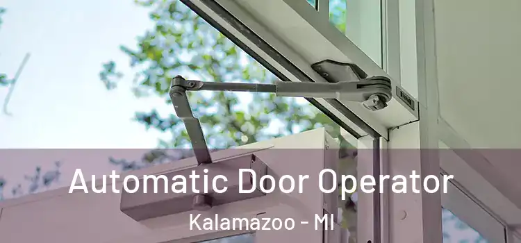 Automatic Door Operator Kalamazoo - MI