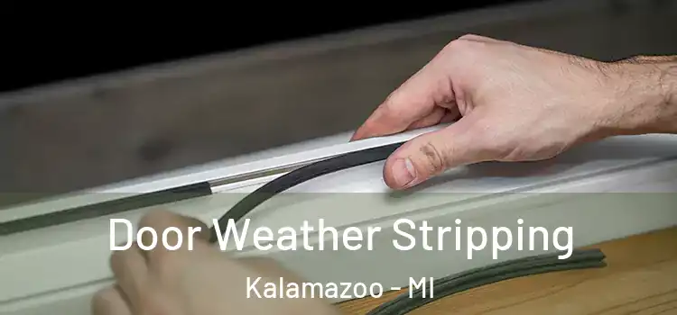  Door Weather Stripping Kalamazoo - MI