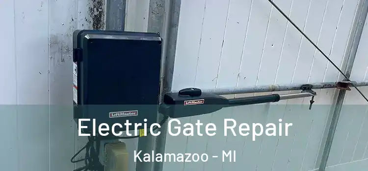  Electric Gate Repair Kalamazoo - MI