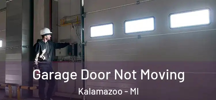  Garage Door Not Moving Kalamazoo - MI