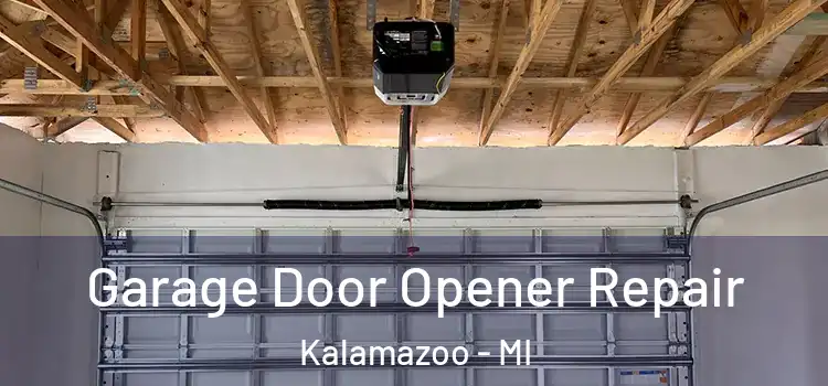  Garage Door Opener Repair Kalamazoo - MI
