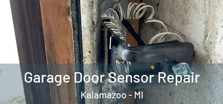  Garage Door Sensor Repair Kalamazoo - MI