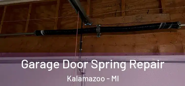  Garage Door Spring Repair Kalamazoo - MI