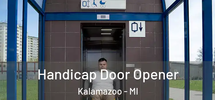  Handicap Door Opener Kalamazoo - MI
