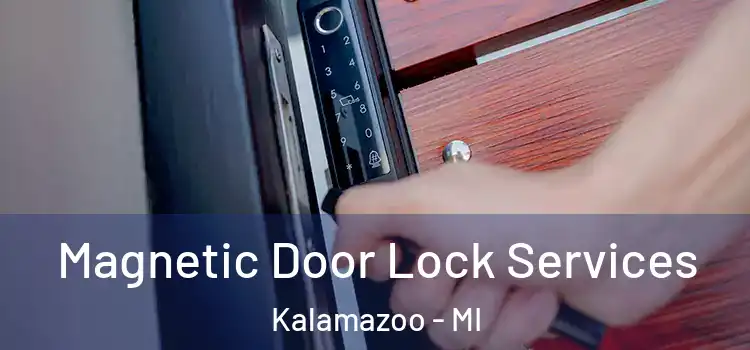  Magnetic Door Lock Services Kalamazoo - MI