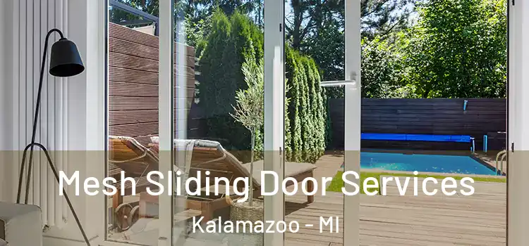 Mesh Sliding Door Services Kalamazoo - MI