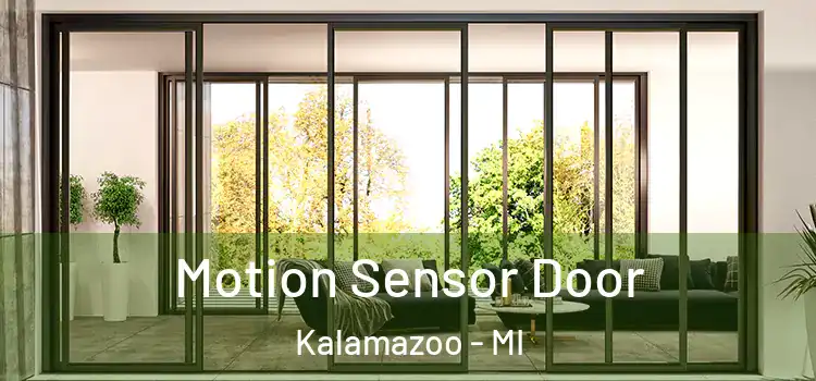  Motion Sensor Door Kalamazoo - MI