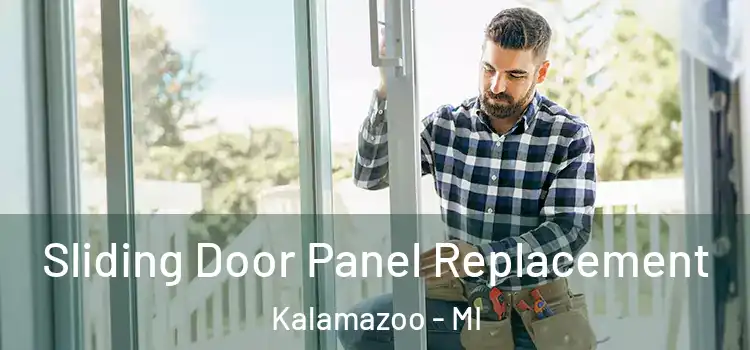  Sliding Door Panel Replacement Kalamazoo - MI