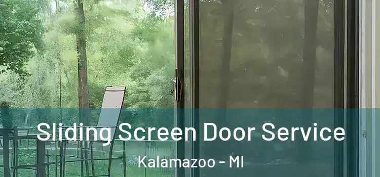  Sliding Screen Door Service Kalamazoo - MI